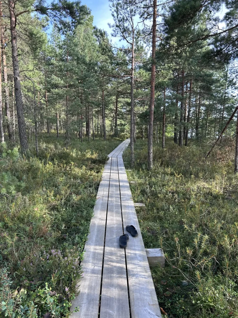 Silmadega kombime ja kõrvadega laulame